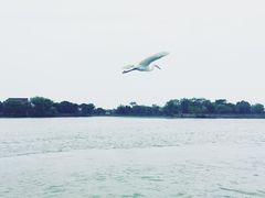 -长兴太湖图影湿地文化园