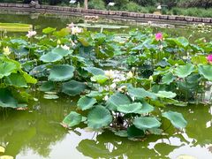 -国家植物园南园