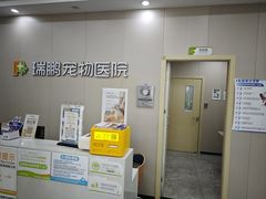 -瑞鹏宠物医院·骨外科·心肾科·肿瘤科(九亭店)