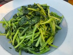 -鸽子窝(宋庄店)