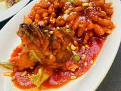 -丰收日(五角场店)