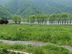 -大九湖
