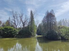 -上海滨江森林公园