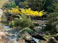 -刘伯温故里景区百丈漈