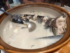 -全乐鱼馆·淳牌有机鱼直营店