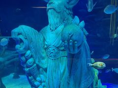 -沈阳海洋探索中心