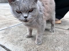 -玉佛苑