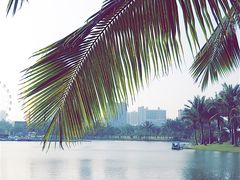 -白沙门生态公园