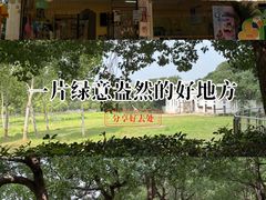 -合肥野生动物园