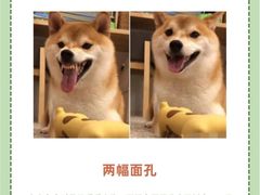 -派联宠物医院·24h·CT·异宠