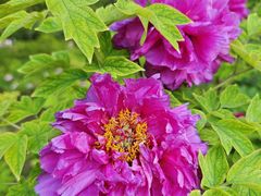 -迎泽公园