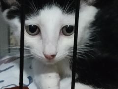 -联合动物医院(光谷诊疗中心)
