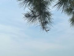 -西涌国际滨海旅游区