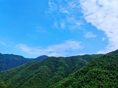 -四明山国家森林公园