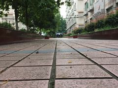 -西南政法大学(沙坪坝校区)