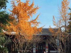 -望江楼公园