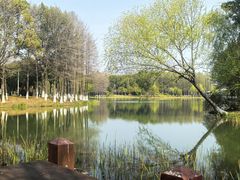 -暨阳湖生态园