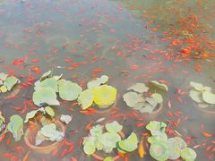 -桑干河大峡谷旅游区