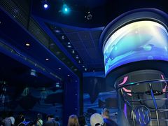 -海底巡游艇:尼莫和好友的海洋世界