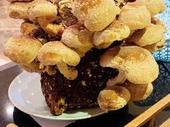 活体松香菇-捞神汤物料理(正大广场店)