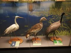 -下渚湖国家湿地公园科普馆