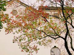 -老门东历史文化街区
