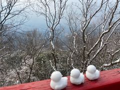 -紫金山山顶公园