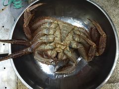 -蚝专家(北滘店)