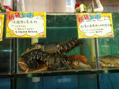 -蚝专家(北滘店)