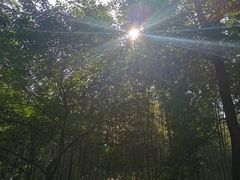 -西湖风景区十里琅珰-五云山