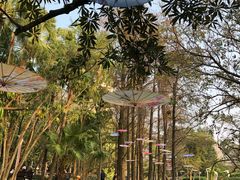 -人民公园(罗湖区)