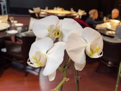 -明湖楼·经典鲁菜山东海鲜(大明湖店)