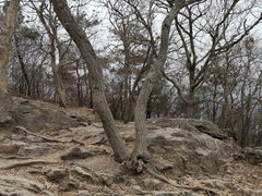 -紫金山山顶公园