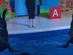 -成都浩海立方海洋公园