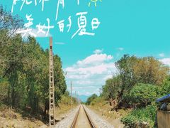 -阳台山自然风景区