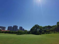 -棕榈滩海景高尔夫俱乐部