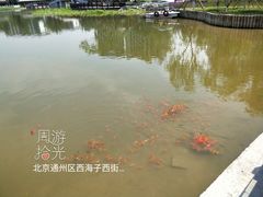 -西海子公园