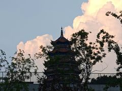 -铁山坪森林公园