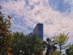 -五缘湾湿地公园