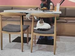 -喵园·猫主题咖啡厅·撸猫·猫咖(国贸店)