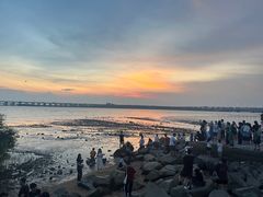 -宝安西湾红树林湿地公园