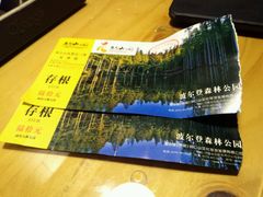 android_upload_pic-波尔登森林公园