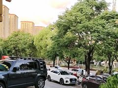 -金塔傣乡·云南民族特色菜·傣味手抓饭(金瓦路店)