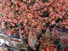 -一块豆腐·海鲜·家常菜(李沧书院路店)