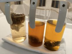 -美丽田园Beauty Farm