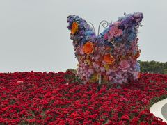 -上海鲜花港