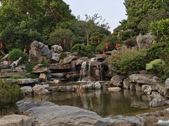 -东莞植物园