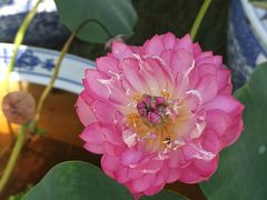 -黄兴公园-停车场