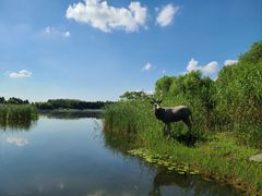 -溱湖国家湿地公园