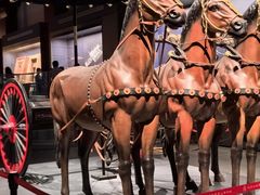 -北京大葆台遗址博物馆